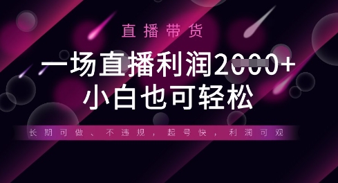 半无人直播带货，一场利润数张，适合所有平台玩法，小白也可轻松-云慧网创