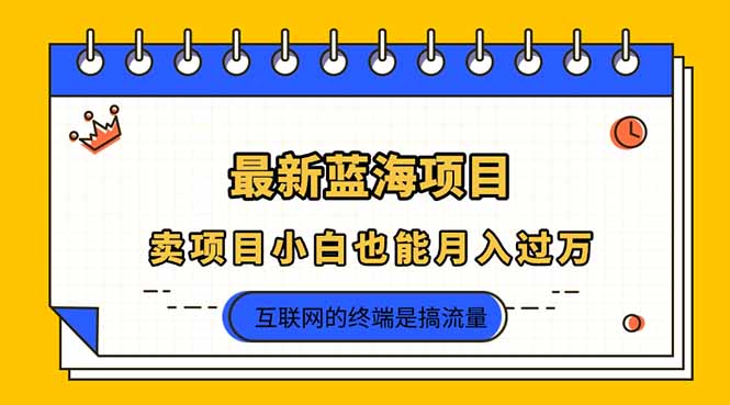 2025年最新蓝海项目，卖项目小白也能月入过万-云慧网创