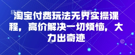 淘宝付费玩法无界实操课程，高价解决一切烦恼，大力出奇迹-云慧网创