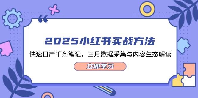 2025小红书实战方法，快速日产千条笔记，三月数据采集与内容生态解读-云慧网创