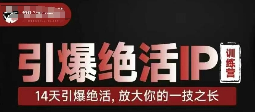引爆绝活IP训练营，14天引爆绝活，放大你的一技之长-云慧网创