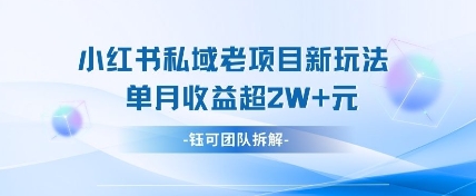 小红书私域项目新玩法，单月变现过W+-云慧网创