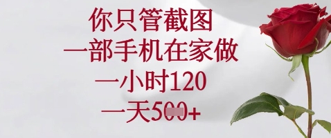 你只管截图，一部手机在家做，苹果安卓都可以，一小时120，一天5张+【揭秘】-云慧网创