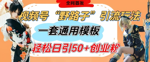 视频号“野路子”玩法，评论区疯狂截流，一套模板单日单号引流50+创业粉-云慧网创