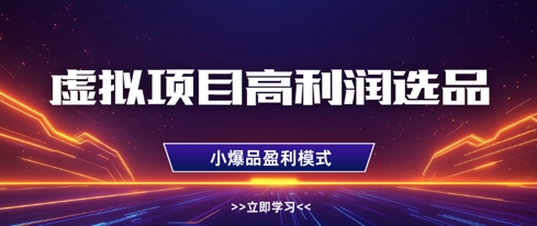虚拟项目高利润选品方法，做好单店利润1W+，可多店倍增利润-云慧网创