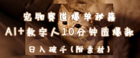 宠物赛道爆单秘籍：AI+数字人10分钟造爆款，日入1k-云慧网创