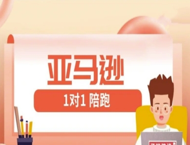 亚马逊1对1陪跑课(FBA/FBM精铺)跨境亚马逊教程-云慧网创