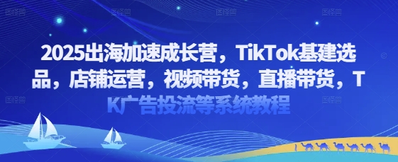 2025出海加速成长营，TikTok基建选品，店铺运营，视频带货，直播带货，TK广告投流等系统教程-云慧网创