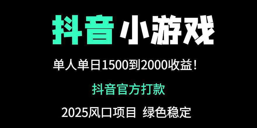 抖音官方小游戏2025全网最新玩法，暴利赚钱项目，单机日入2000+-云慧网创
