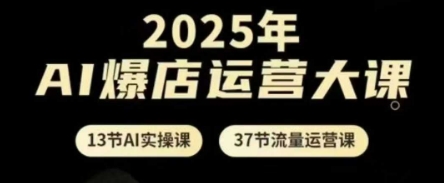 2025年AI爆店运营大课，13节AI实操课+37节流量运营课-云慧网创