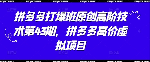 拼多多打爆班原创高阶技术第43期，拼多多高价虚拟项目-云慧网创