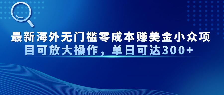 最新海外无门槛零成本赚美金小众项目可放大操作，单日可达300+-云慧网创