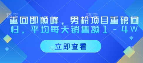 重回即颠峰，男粉项目重磅回归，平均每天销售额1-4W-云慧网创