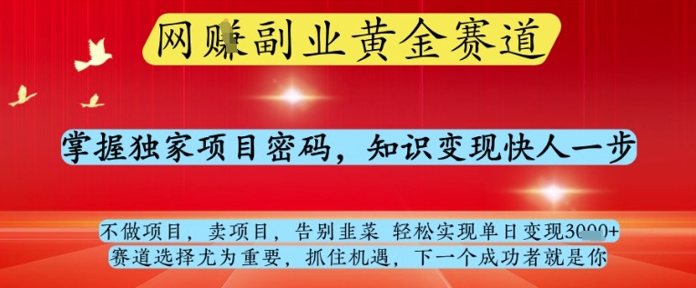 网创副业黄全赛道，掌握独家项目密码，知识变现快人一步，告别韭菜轻松实现单日变现1k+【揭秘】-云慧网创