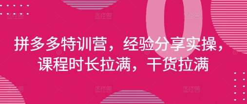 拼多多特训营，经验分享实操，课程时长拉满，干货拉满(更新25年4月)-云慧网创