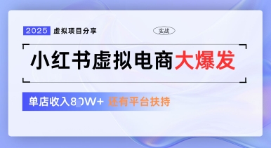 小红书虚拟电商项目，平台大力免费流量扶持，低门槛1拖3玩法-云慧网创