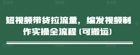 短视频带货拉流量，编发视频制作实操全流程(可搬运)-云慧网创
