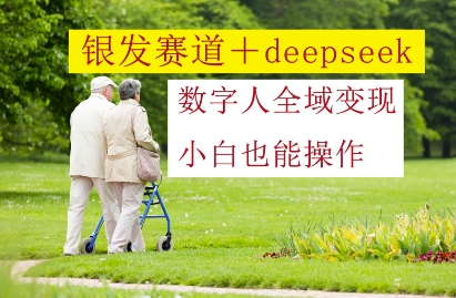 银发赛道+deepseek数字人全域变现，小白也能操作-云慧网创
