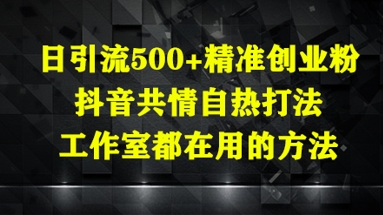 日引流500+精准创业粉，抖音共情自热打法，工作室都在用的方法-云慧网创