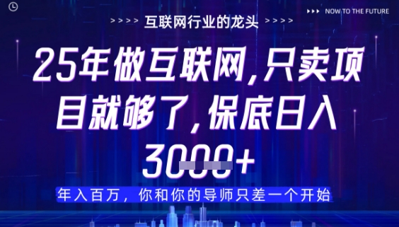 什么！25年你还在找项目做？风口早就变了，卖项目才是稳挣不赔【揭秘】-云慧网创
