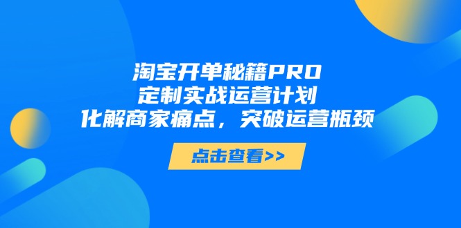 淘宝开单秘籍PRO，定制实战运营计划，化解商家痛点，突破运营瓶颈-云慧网创
