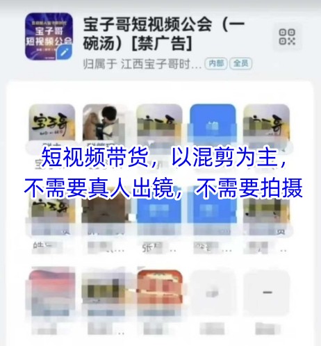 宝子哥头部团队短视频带货，以混剪为主，不需要真人出镜，不需要拍摄-云慧网创