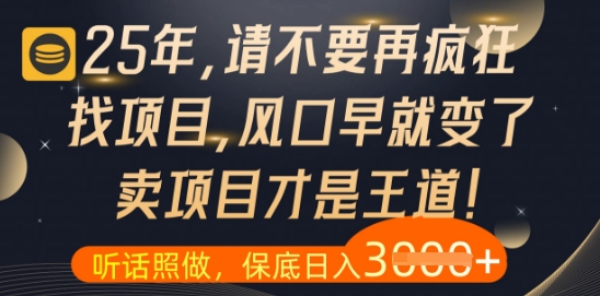 什么？25年你还在疯狂找项目做，醒醒吧，看完这些你全都懂了【揭秘】-云慧网创