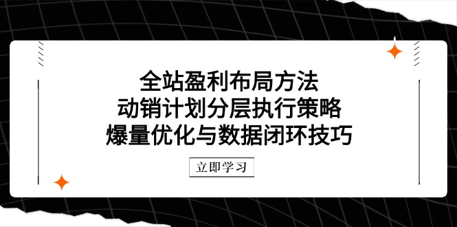 全站盈利布局方法：动销计划分层执行策略，爆量优化与数据闭环技巧-云慧网创