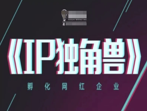 IP独角兽，孵化网红企业，ip教程-云慧网创
