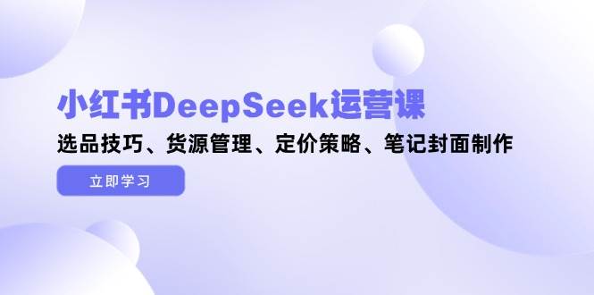 小红书DeepSeek运营课，选品技巧、货源管理、定价策略、笔记封面制作-云慧网创
