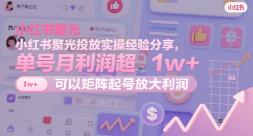 小红书聚光投放实操经验分享，单号月利润超1w+，可以矩阵起号放大利润-云慧网创