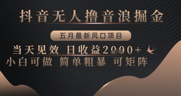抖音无人撸音浪掘金，五月最新风口项目，当天见效，日收益多张，小白可做简单粗暴可矩阵【揭秘】-云慧网创