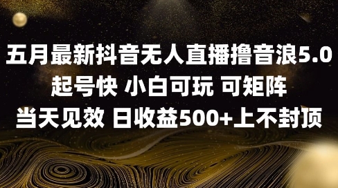 2025五月最新无人直播撸音浪单日产出5张+实操教程【揭秘】-云慧网创
