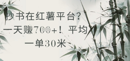 抄书在小红薯平台？平均一单30米，一天收益几张！-云慧网创