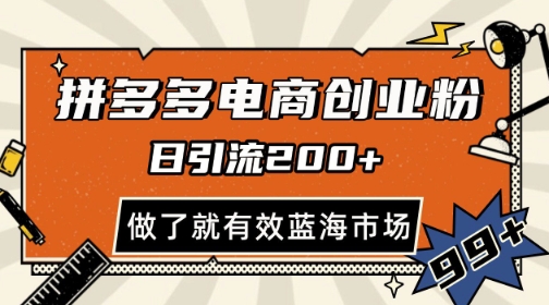 拼多多引流电商创业粉，日引200+，可矩阵放大，做了就有效【揭秘】-云慧网创