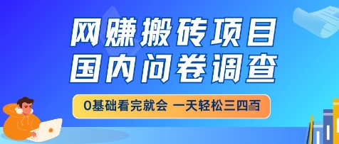 网创搬砖项目，国内问卷调查，小白轻松上手，一天三四张的也不难，干就完了【揭秘】-云慧网创