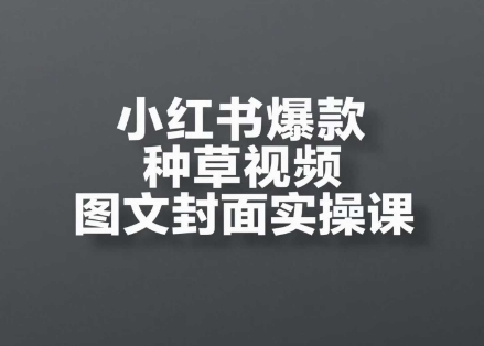 小红书爆款种草视频图文封面实操课，​开店、选品、引流、变现全流程-云慧网创
