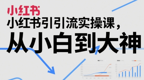 小红书引流实操课，从小白到大神-云慧网创