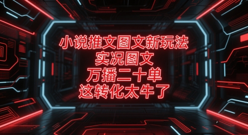 小说推文图文新玩法，实况图文，万播二十单，这转化太牛了！-云慧网创