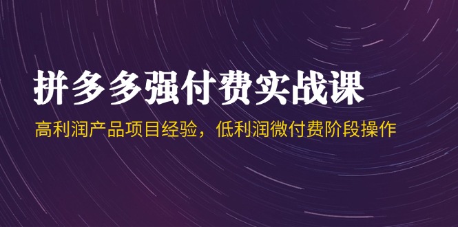 拼多多强付费实战课-44期，高利润产品项目经验，低利润微付费阶段操作-云慧网创