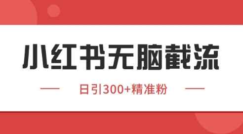 小红书截流同行客源，独家野路子获客玩法 日引200+暴力获客【揭秘】-云慧网创