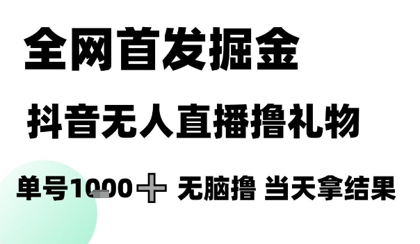 全网首发掘金抖音无人直播撸礼物，单号1k +无脑撸，当天拿结果【揭秘】-云慧网创