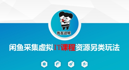闲鱼采集虚拟IT课程资源另类玩法，干货满满-云慧网创