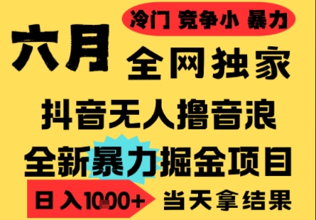 25年6月高爆抖音无人直播最新撸音浪掘金项目，小白可做，无脑日入1k+，门槛低可批量矩阵【揭秘】-云慧网创