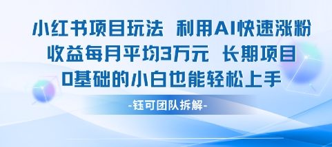 适合小白操作的小红书新项目，利用AI快速涨粉，收益每月平均1W+-云慧网创