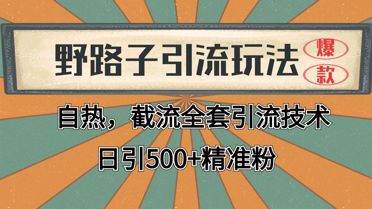 2024首发野路子引流玩法截流自热全平台打法，全自动引流【日引2000+精准客户】-云慧网创