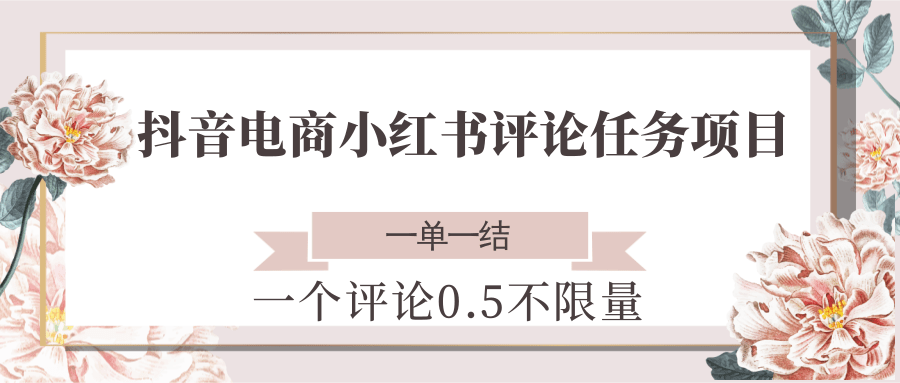 抖音电商小红书评论任务项目，一个评论0.5，一单一结 不限量-云慧网创
