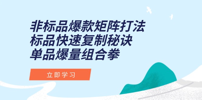 非标品爆款矩阵打法，标品快速复制秘诀，单品爆量组合拳-云慧网创