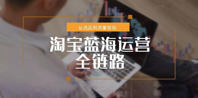 淘宝蓝海运营全链路，从选品到流量变现，小类目突围完整方案-云慧网创