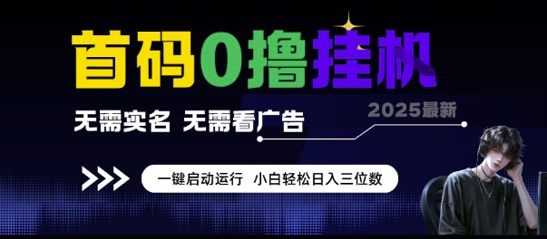 首码0撸挂G项目，无需实名无需看广告 一键启动运行，小白轻松日入三位数【揭秘】-云慧网创